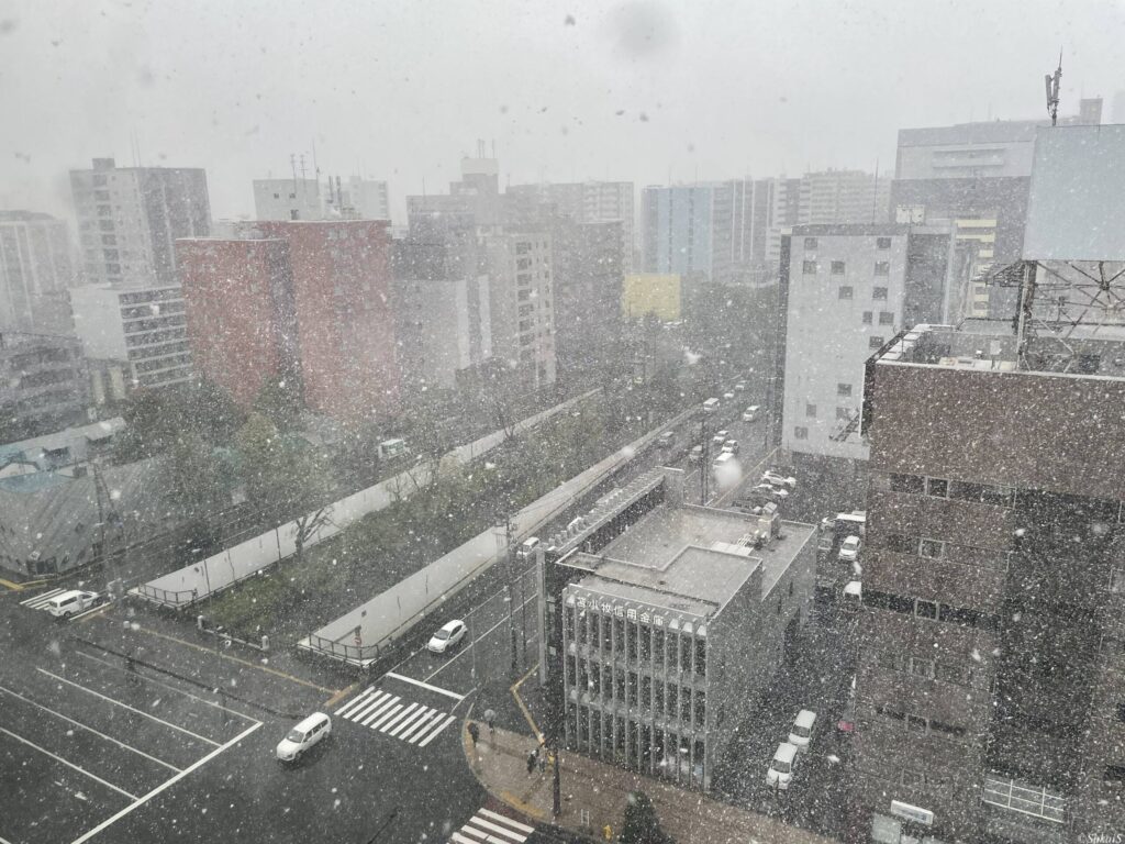雪が強くなってきた