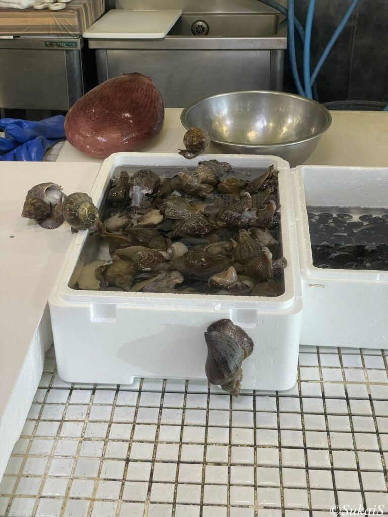 はこだて自由市場