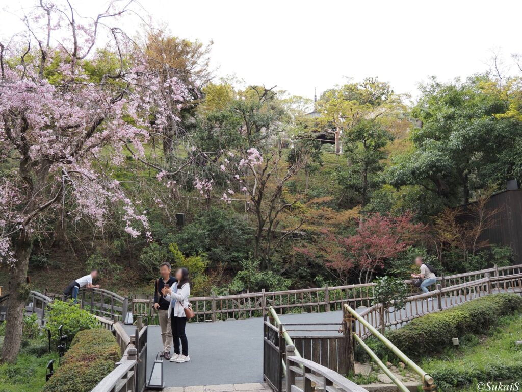 思い思いに楽しむ。