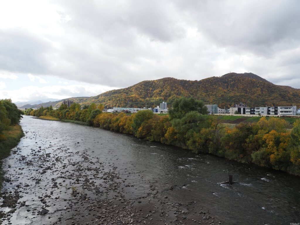 豊平川から藻岩山