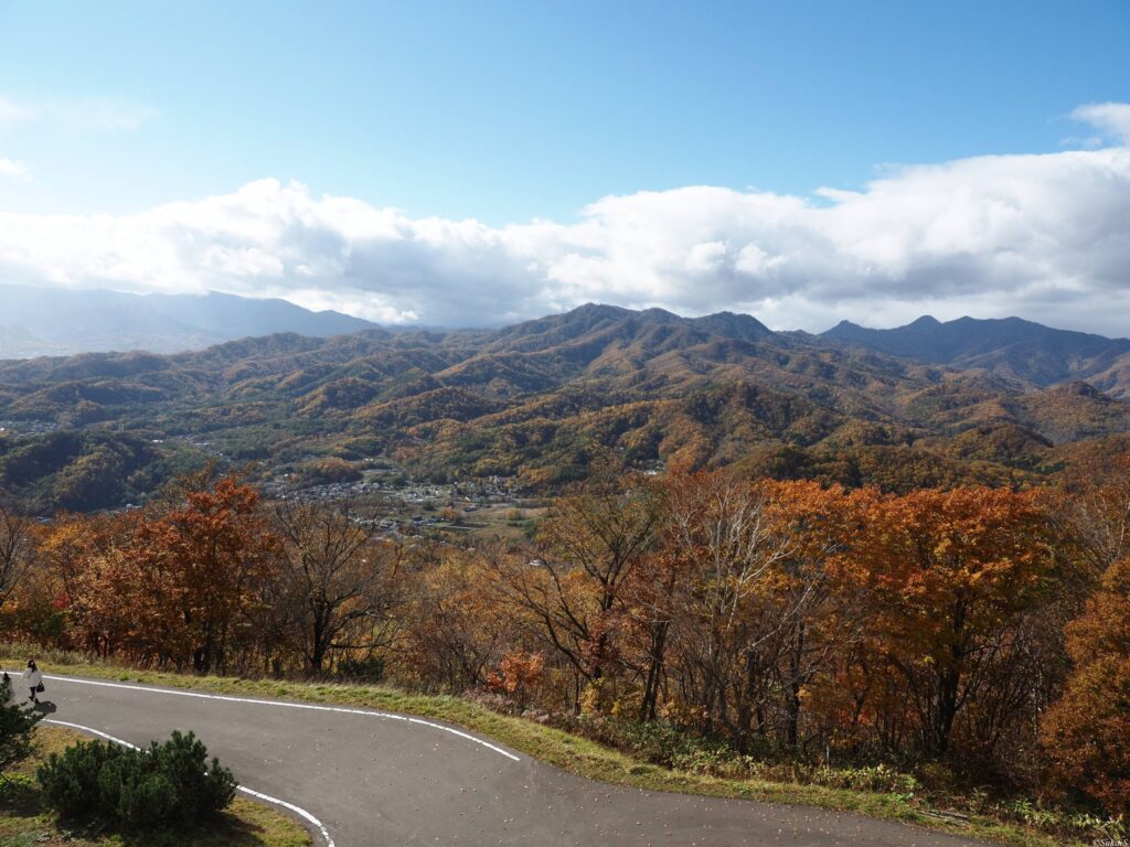 藻岩山からの眺め