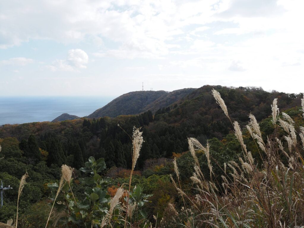 山頂からの海の眺め