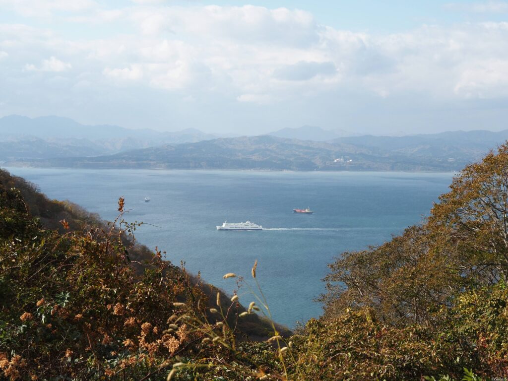 山頂からの海の眺め