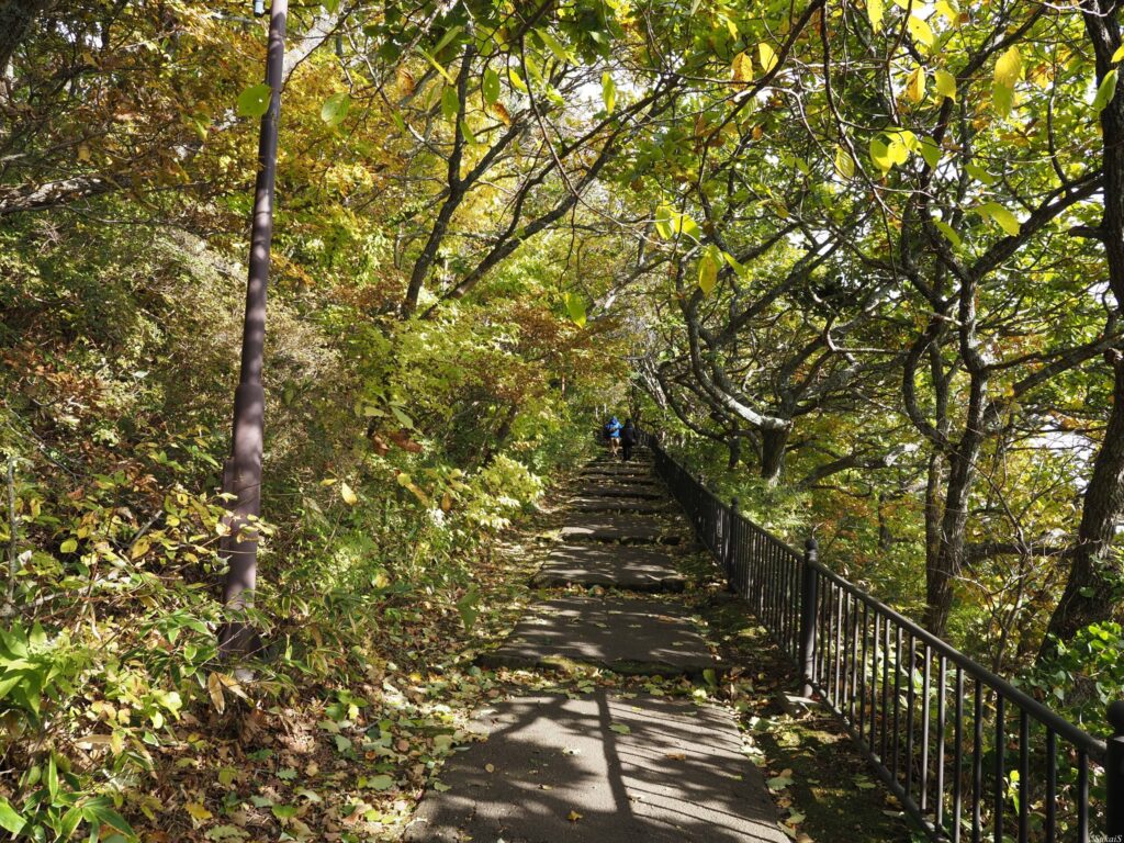 山頂へ向かう道