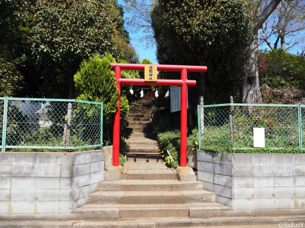 大宮浅間神社・正面