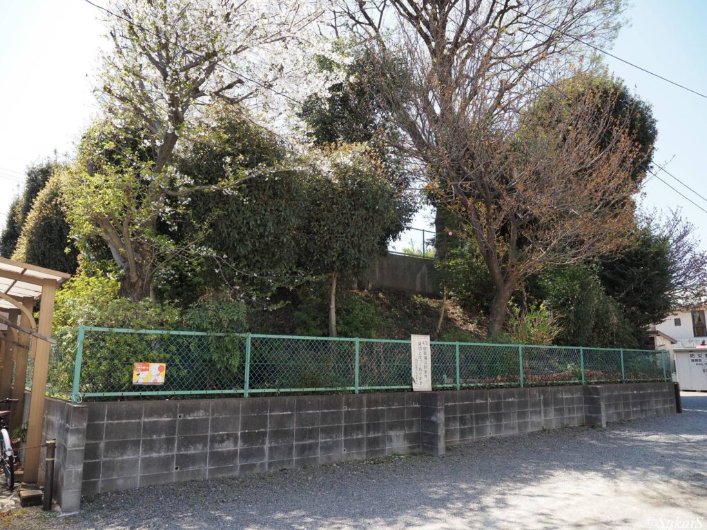 西側から見た浅間神社