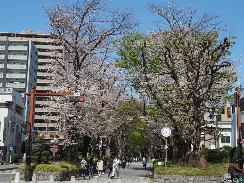 再び参道を歩く。