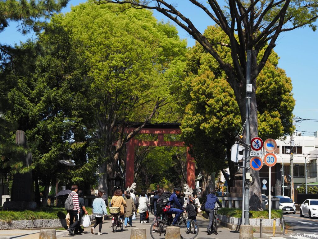 大宮駅から来る人が合流するあたり