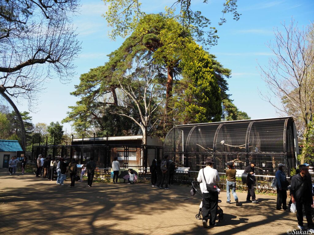 大宮公園の小動物園