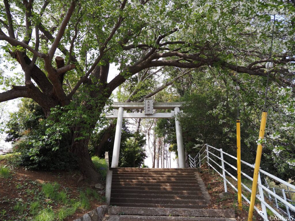 大宮神社の鳥居