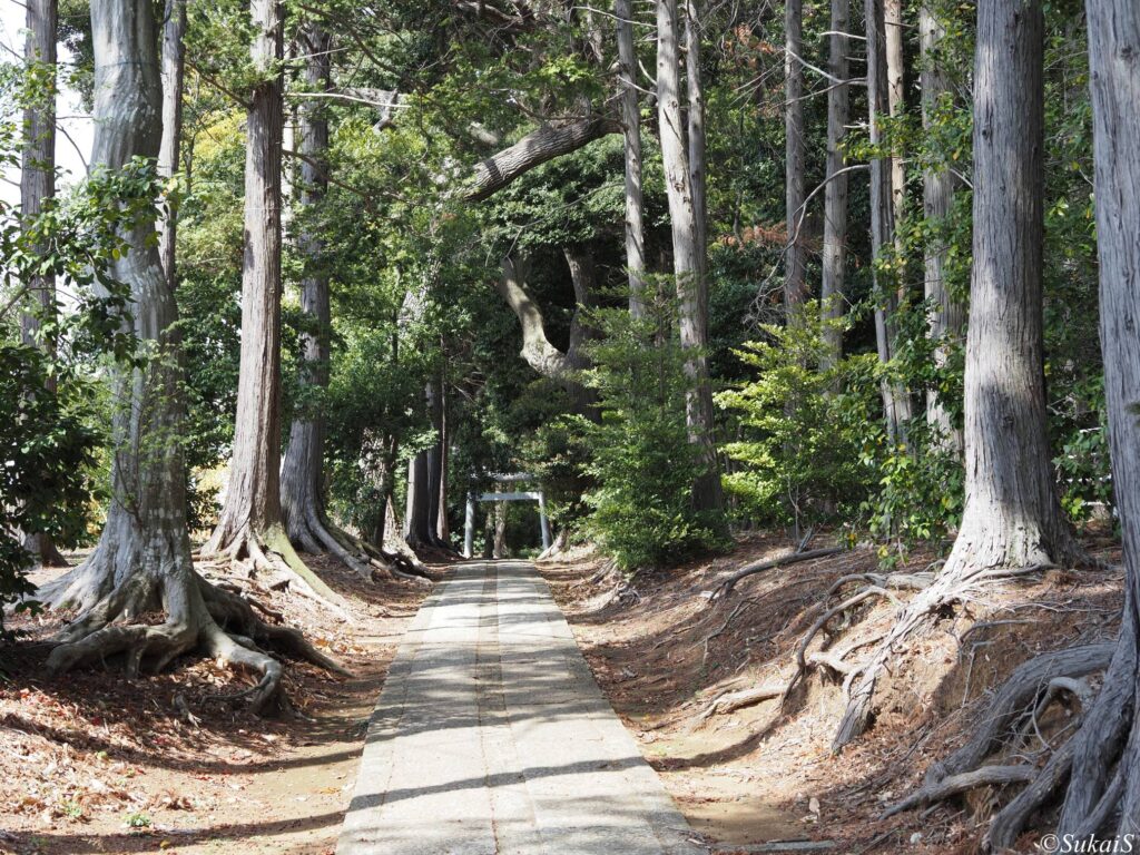 大宮神社の参道