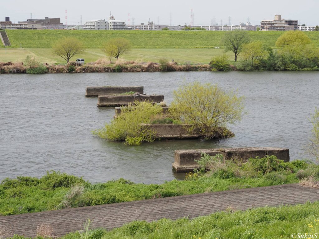 江戸川、丹後の渡し跡付近