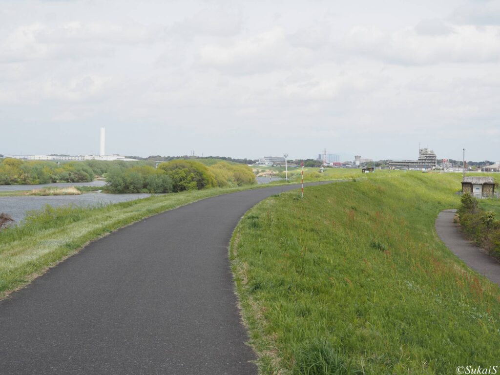 江戸川、丹後の渡し跡付近