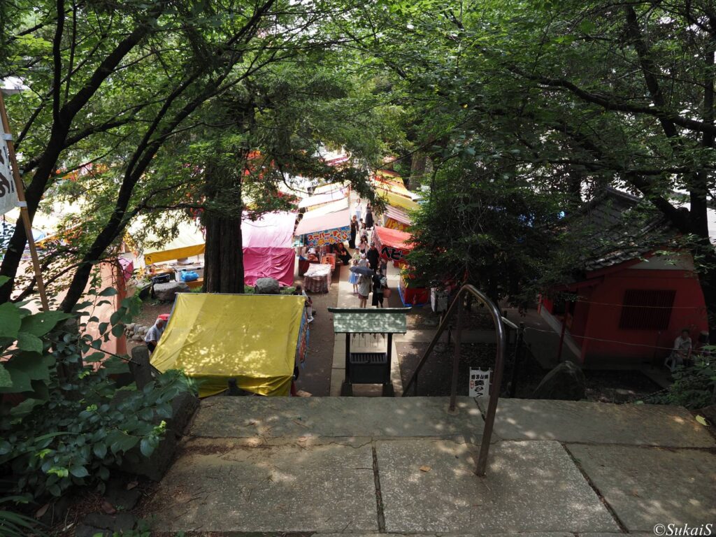 駒込富士神社からの眺め