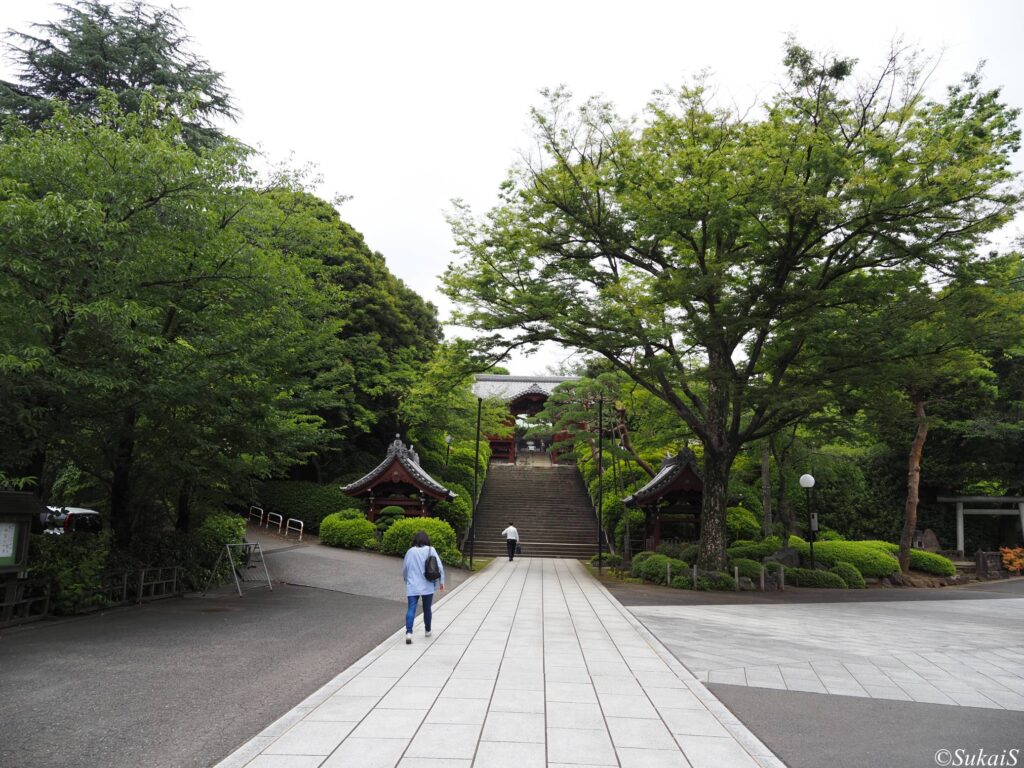 護国寺の眺め