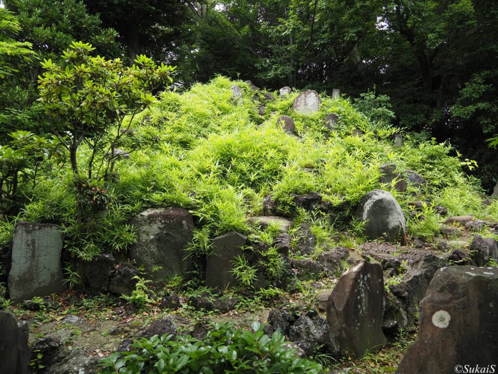 音羽富士の麓から