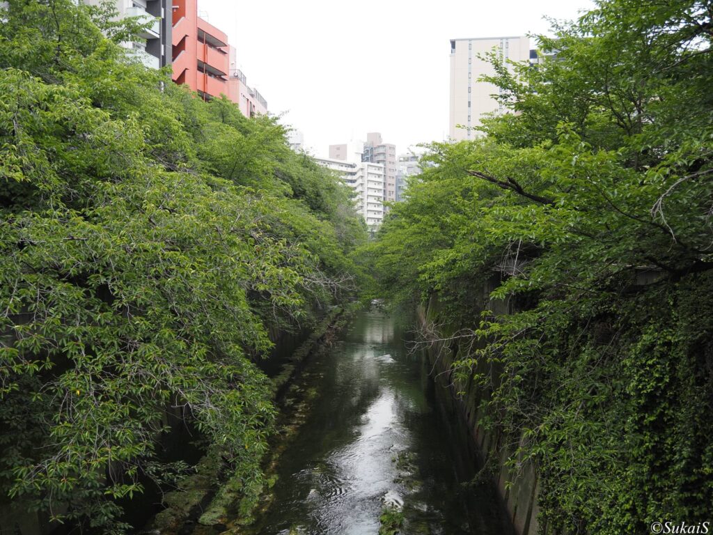 神田川