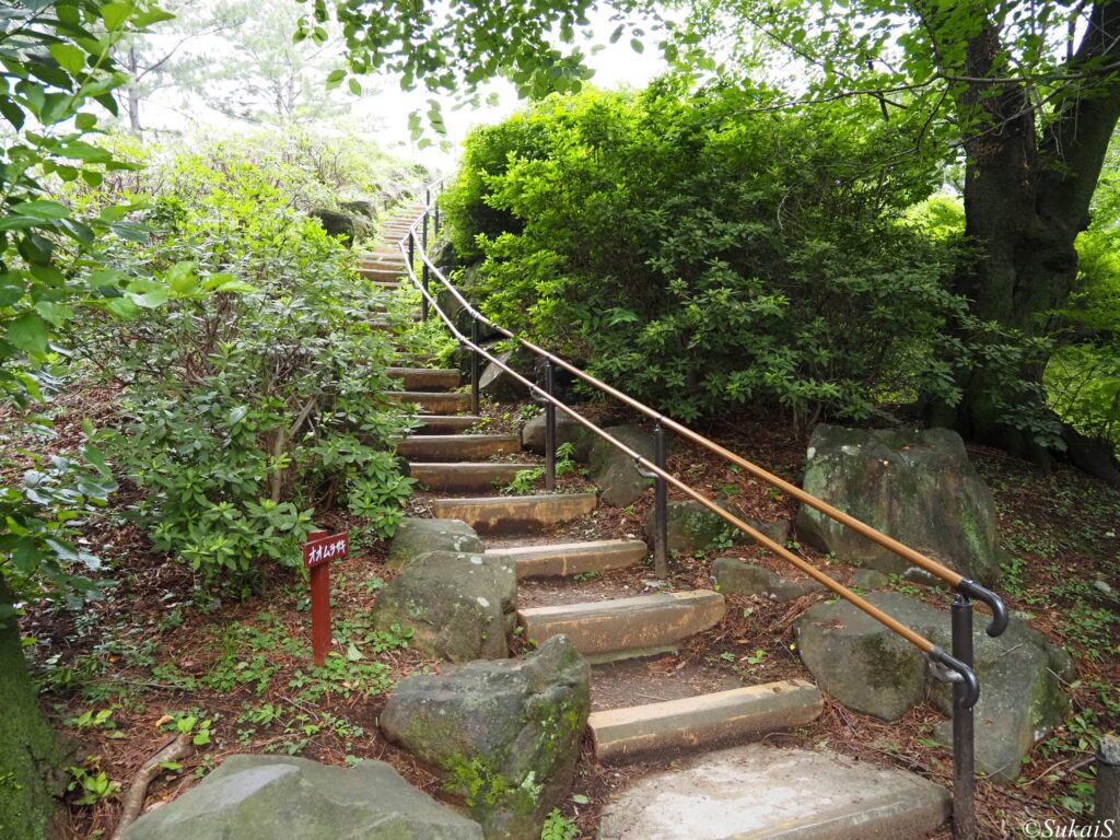 箱根山の階段