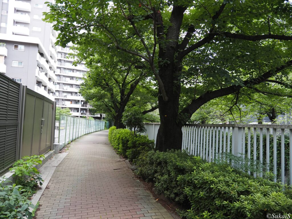 神田川