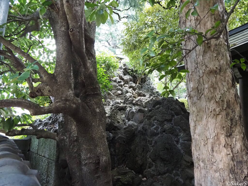 月見岡八幡神社の富士塚