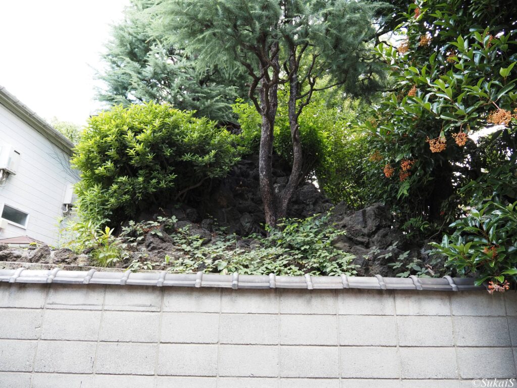 月見岡八幡神社の富士塚