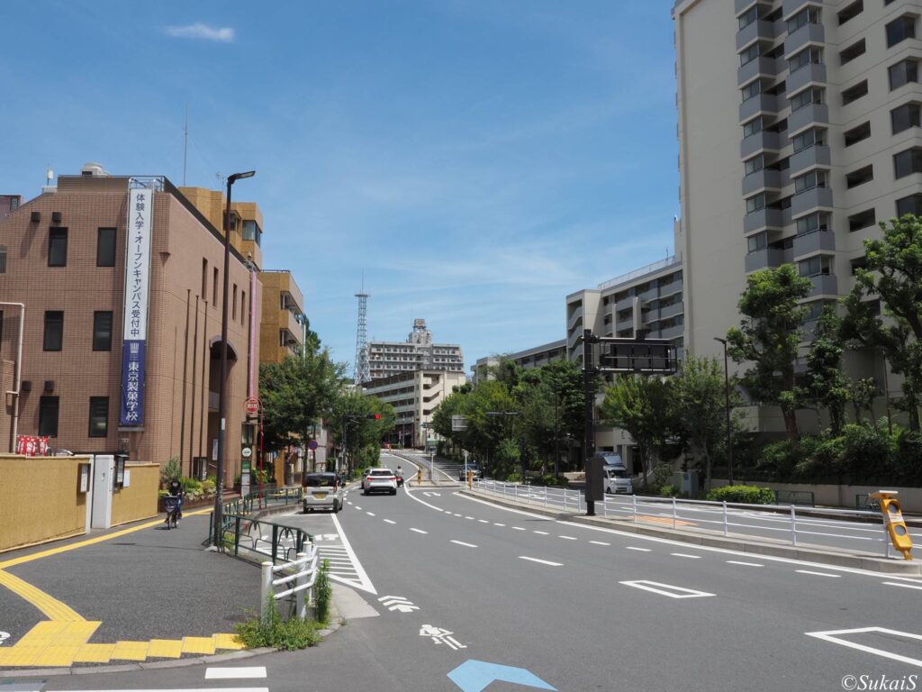 諏訪通り