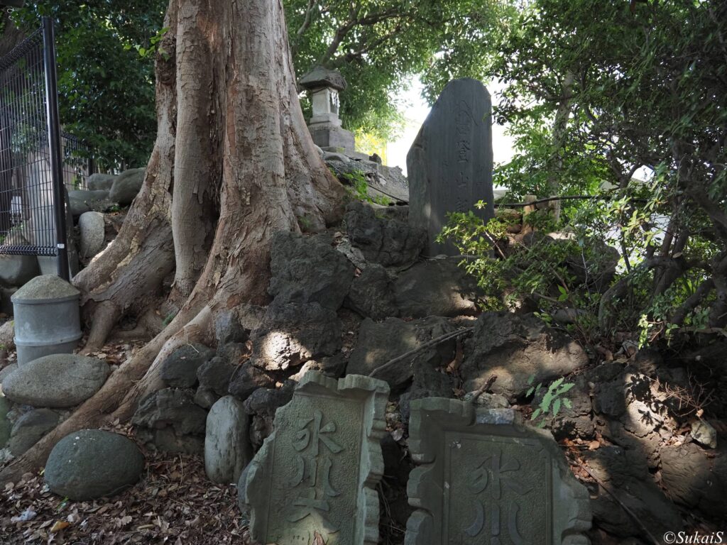 氷川神社富士塚