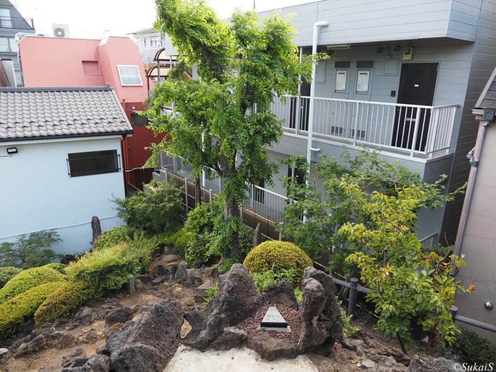 山頂からの眺め