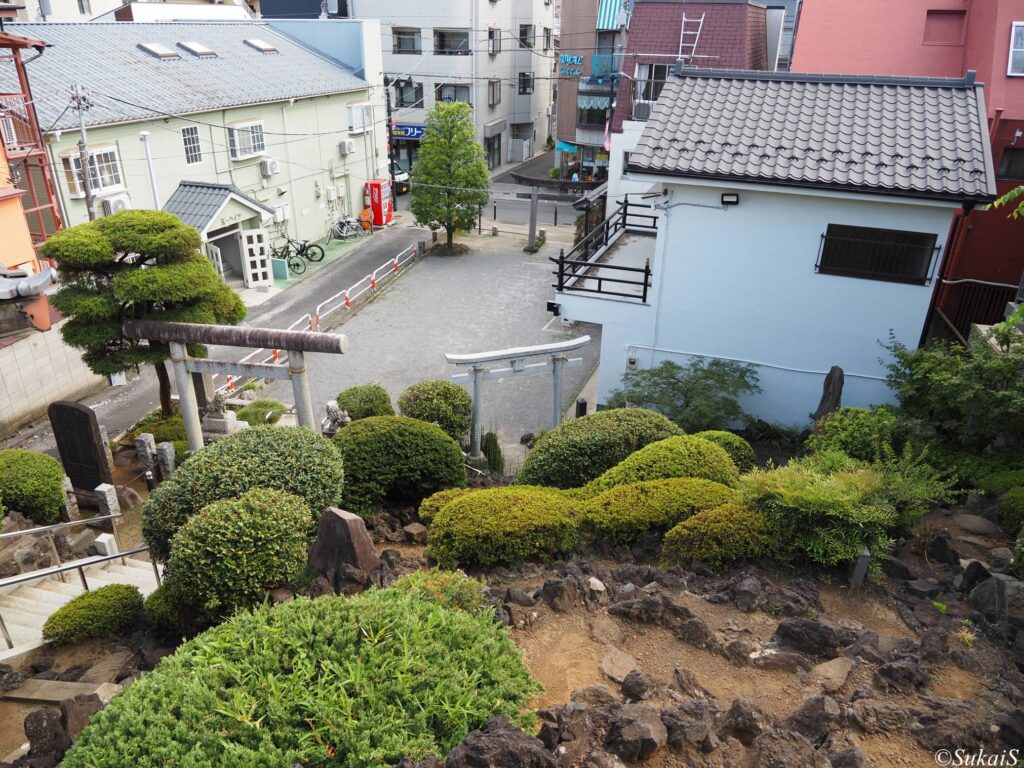 山頂からの眺め