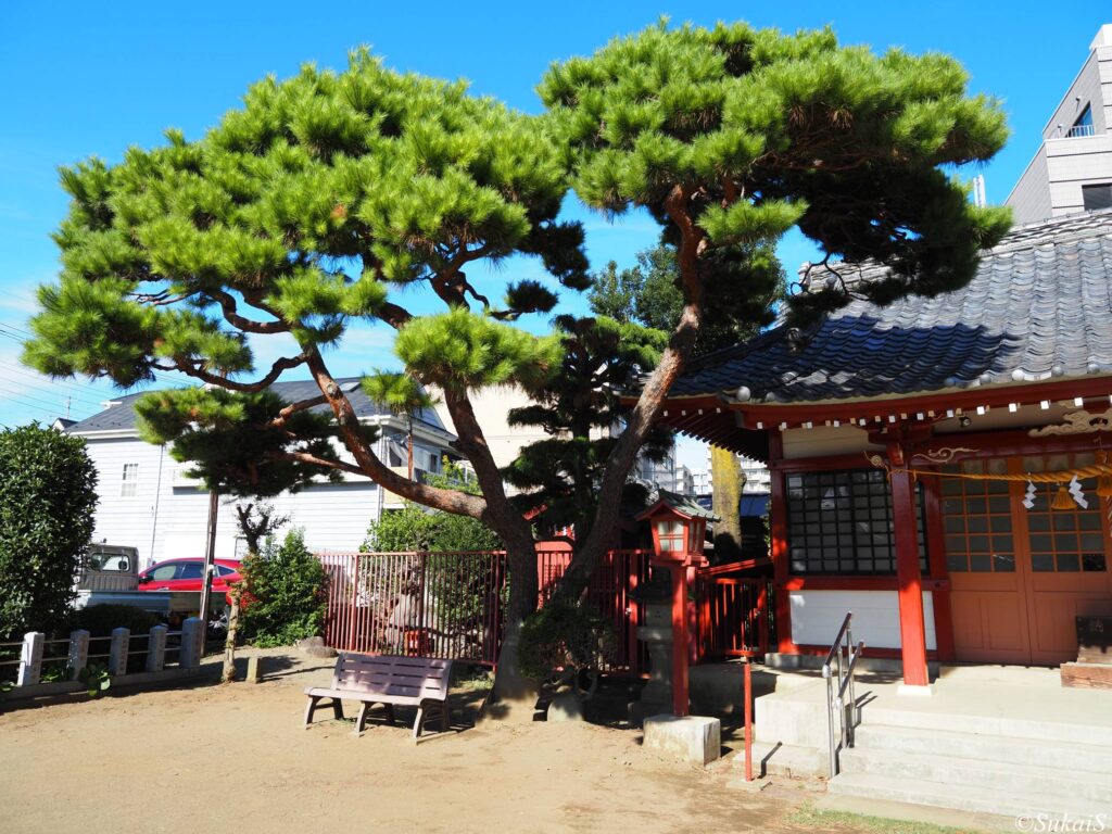 八幡神社の富士塚