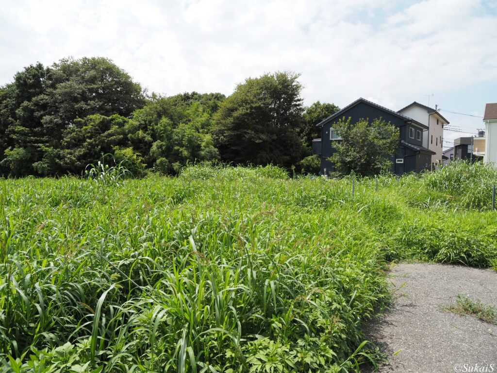 西大宮の富士塚？
