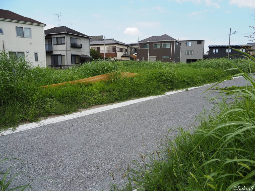 西大宮の富士塚？