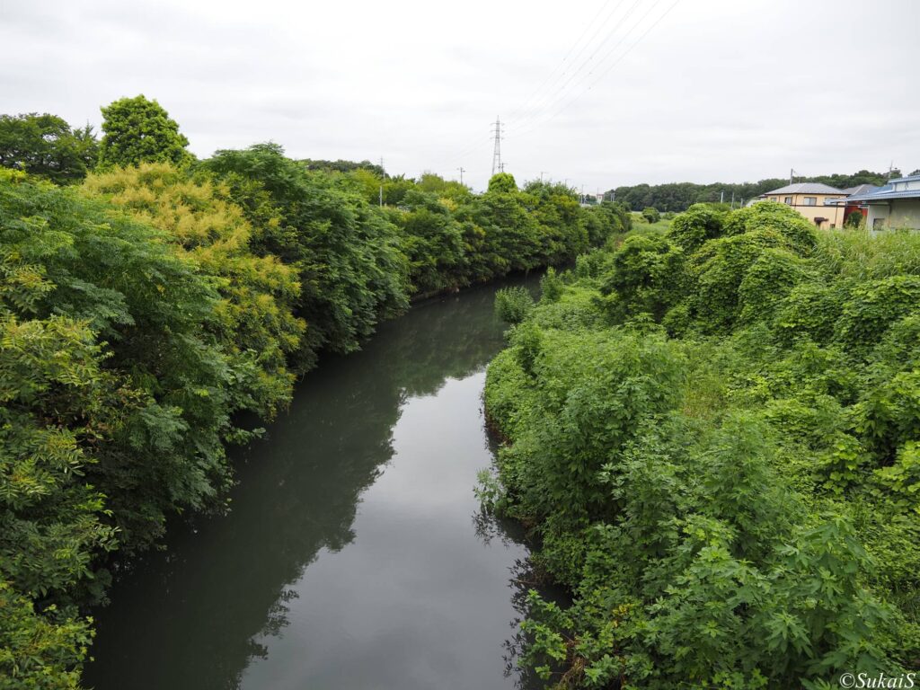 鴨川