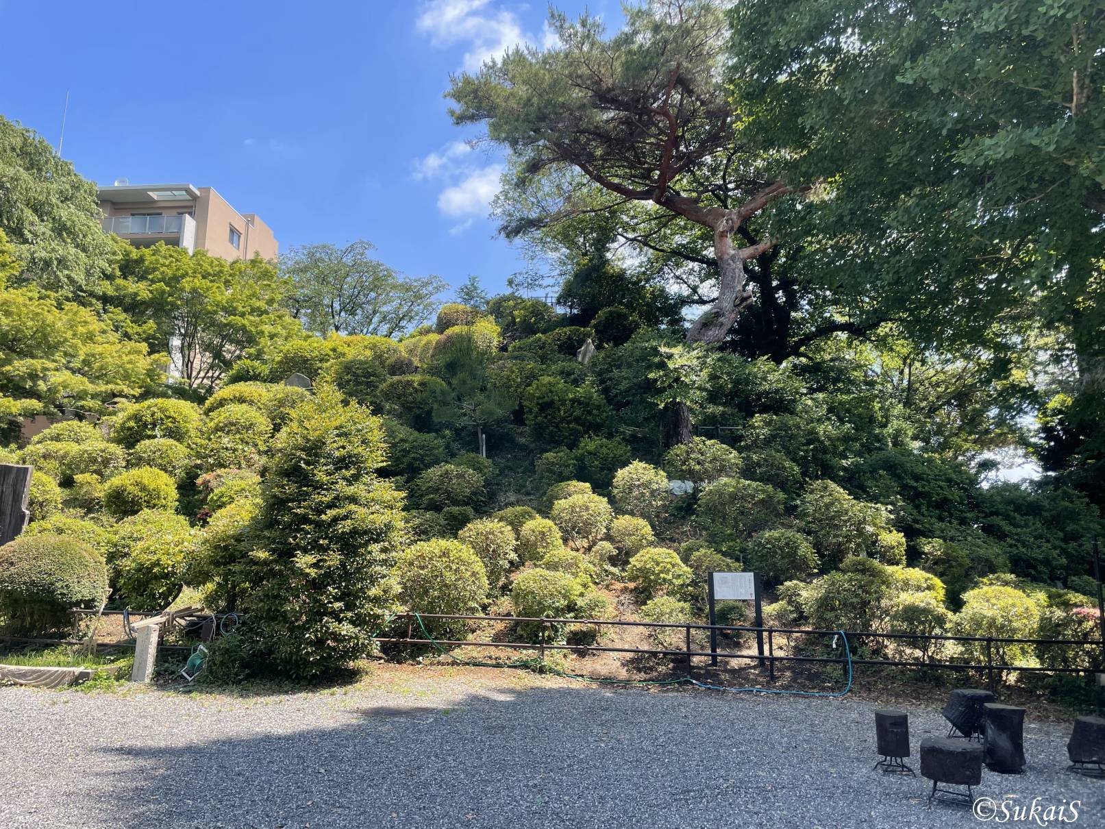 【富士塚】和光市・板橋区の富士塚を巡る – 白子富士、赤塚氷川神社富士塚、諏訪神社富士塚（2025.5.28）
