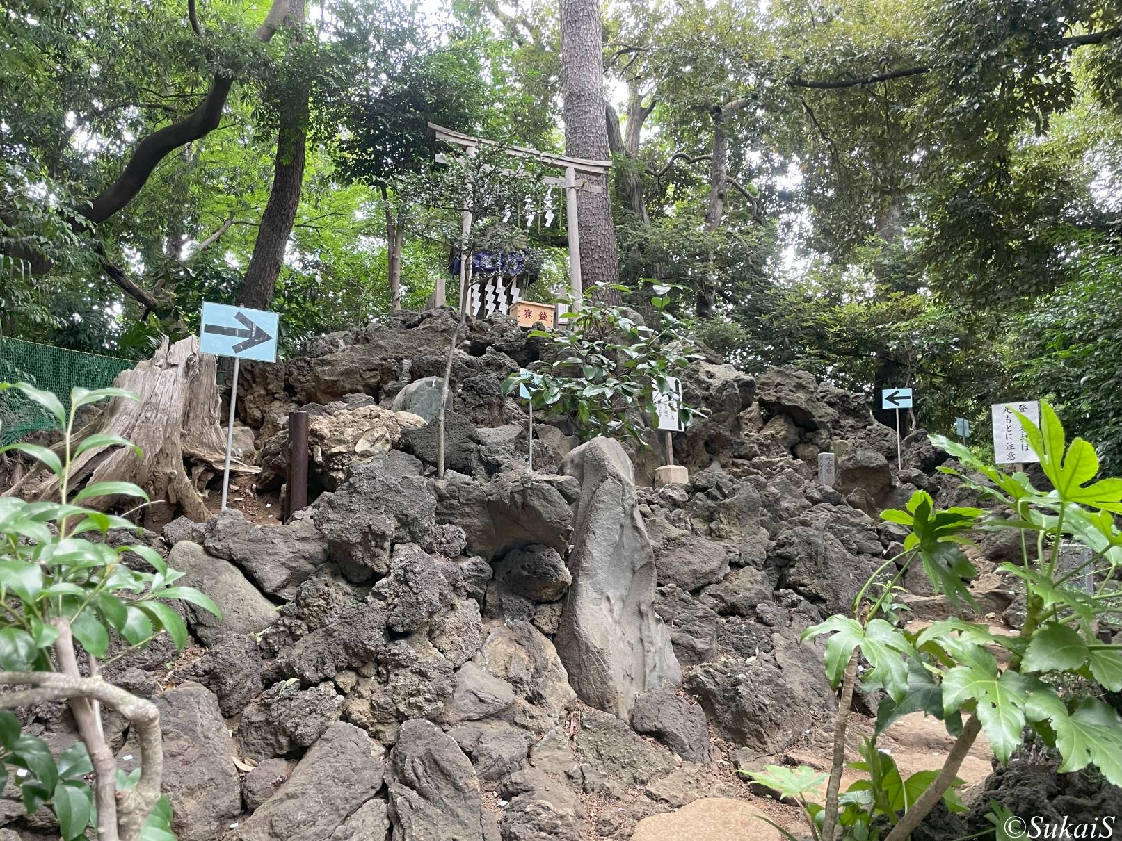 江古田富士塚の上部