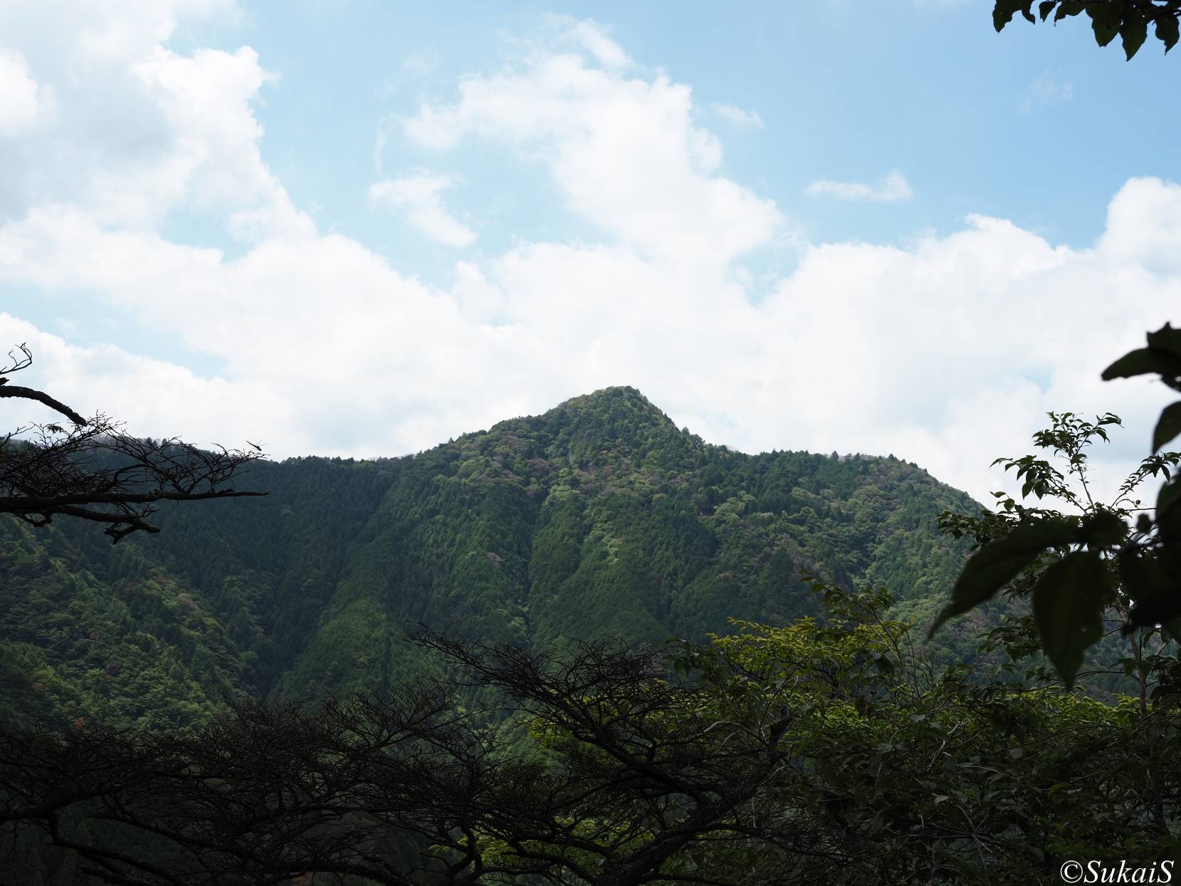 大岳山の眺め