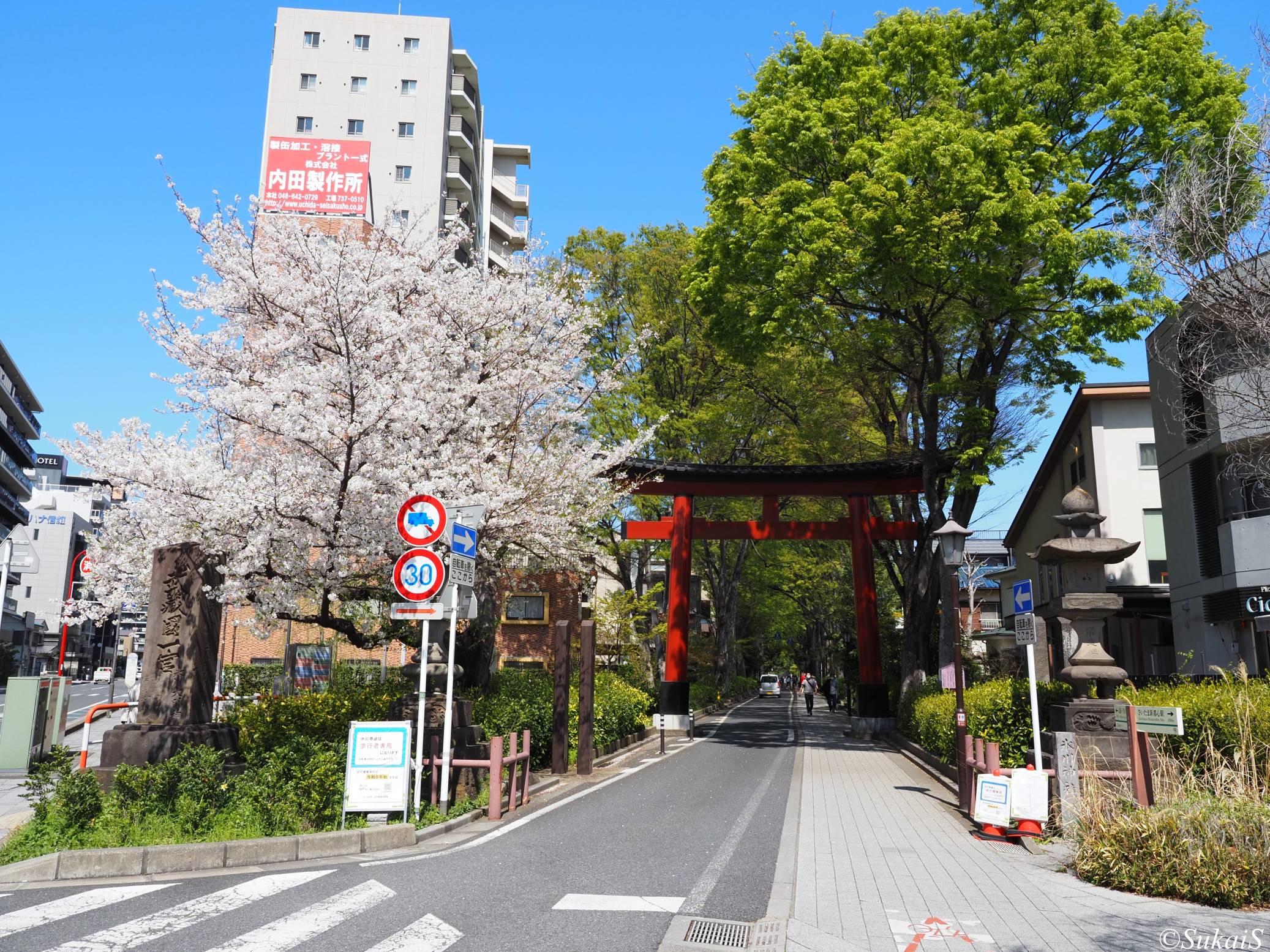 氷川神社と大宮公園を巡る春の散歩｜浅間神社・博物館・盆栽文化（2026.4.3）