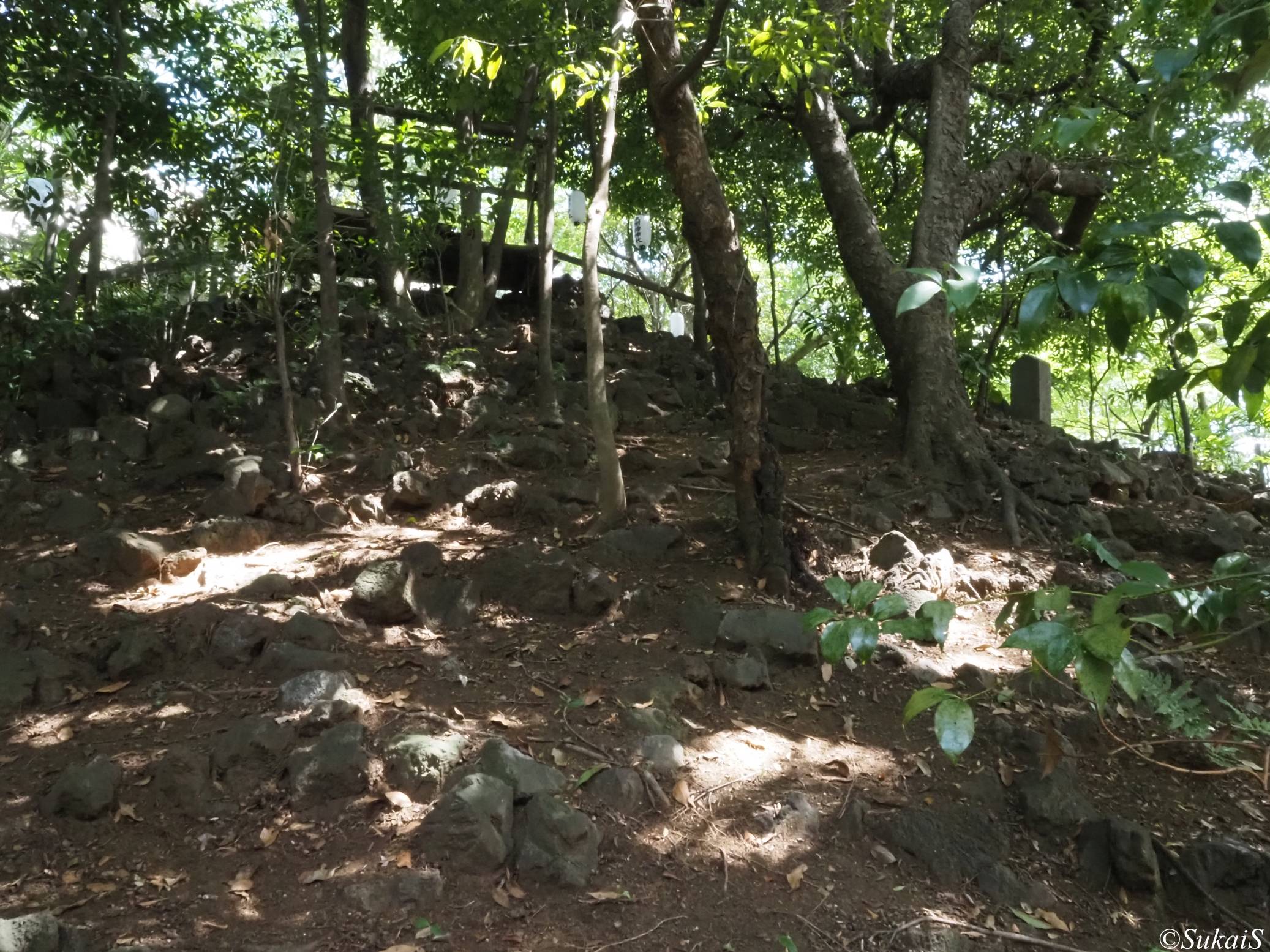 【富士塚】東中野から早稲田へ｜月見岡八幡神社の富士塚と江戸最古の高田富士を歩く（2026.07.19）